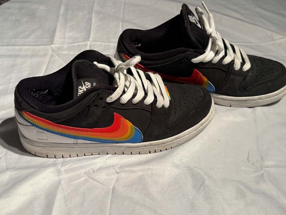 Nike SB Dunk Low Pro Polaroid